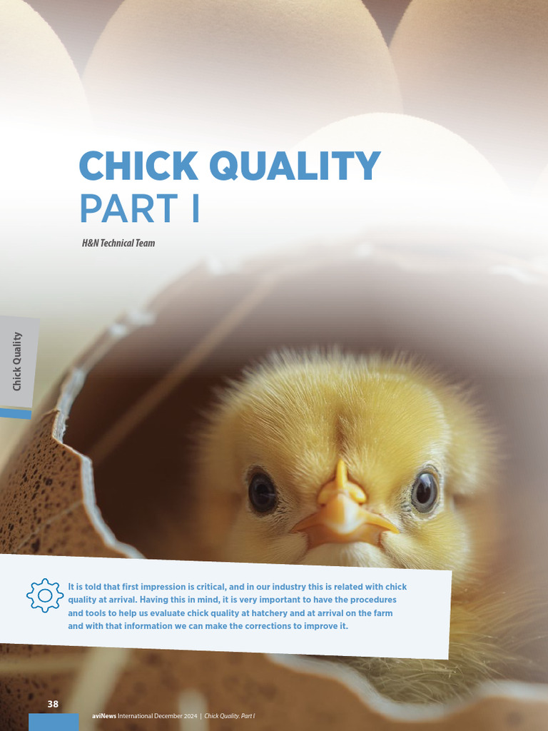 Chick Quality Assessment Guidelines | PDF | Egg | Birds