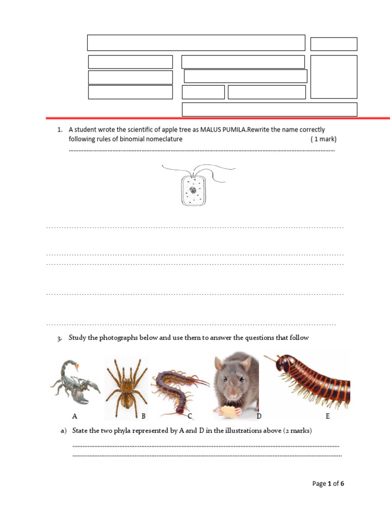 Form Three Classification Cat | PDF | Biology | Organisms
