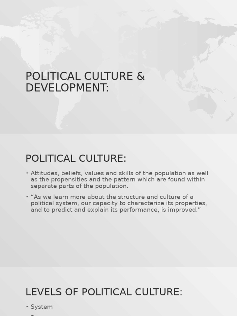 Understanding Political Culture Dynamics | PDF | Value (Ethics) | Policy