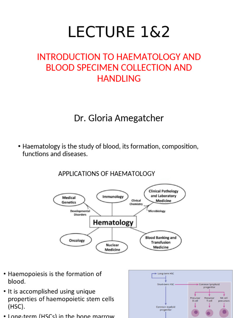 Hematology L1 & 2 - GNAQ24 | PDF | Blood | White Blood Cell
