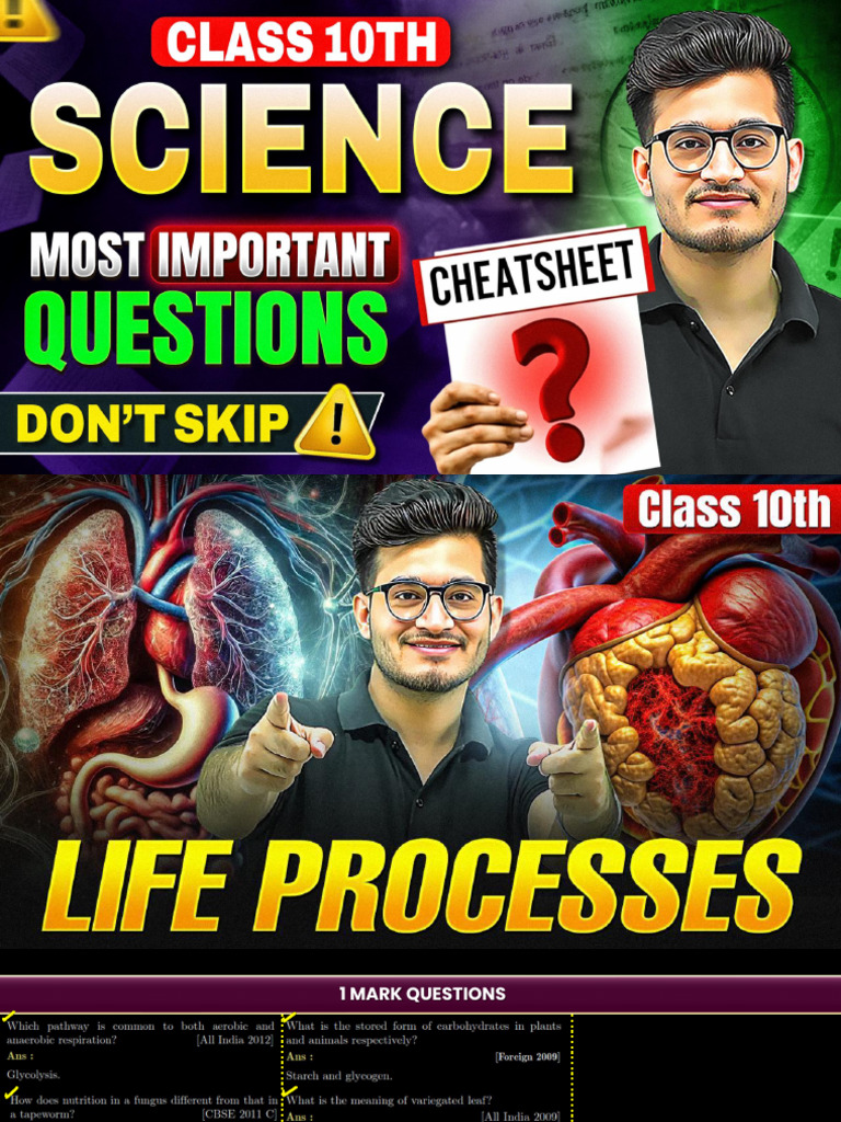 Science Important Questions | PDF