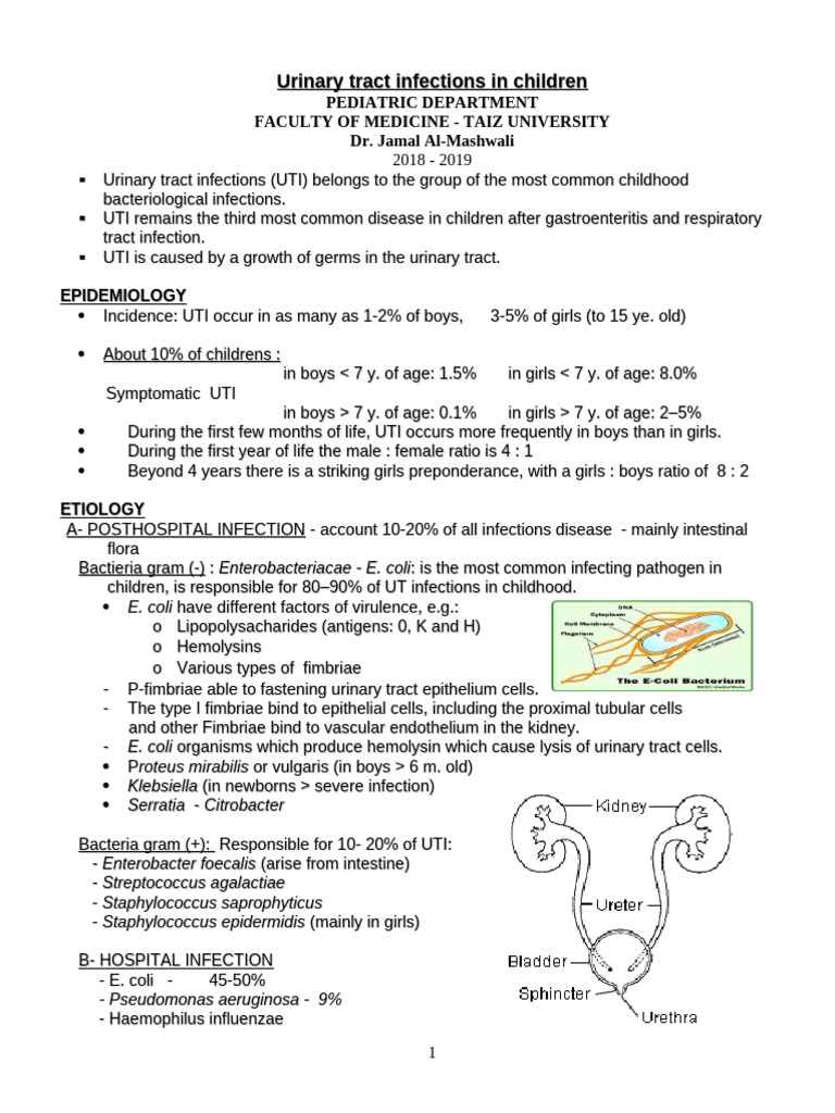Urinary Tract Infections IV Y30.04.2019 | PDF | Urinary Tract Infection ...