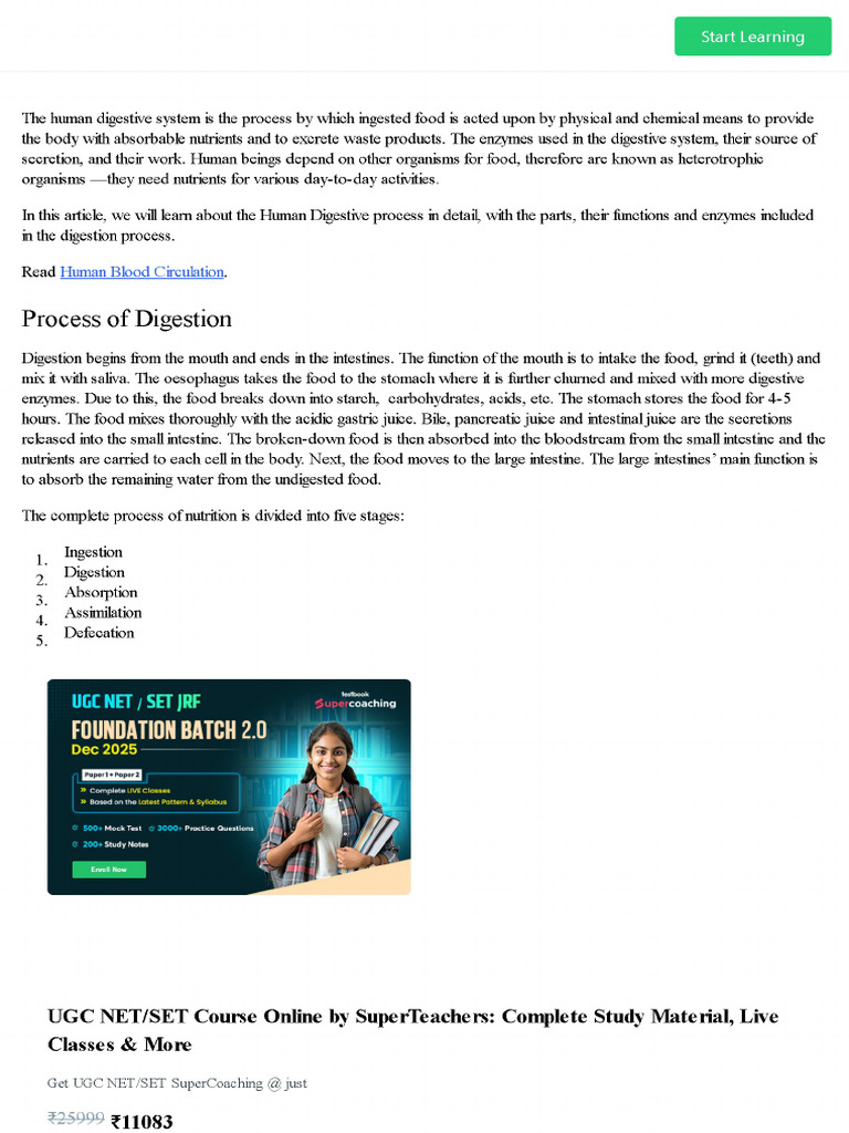Human Digestive System - Digestive Process, Enzymes With Diagrams | PDF