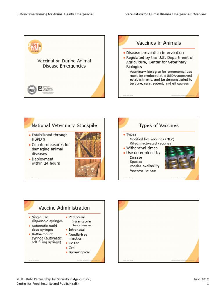 12 Vaccination Overview PPT 6slide HANDOUT | PDF | Vaccines | Vaccination