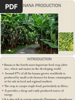 Indigenous Wild Fruits of Zimbabwe | PDF | Fruit | Edible Fruits