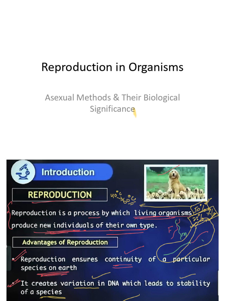 Introduction MMMMMMMM | PDF | Reproduction | Biology