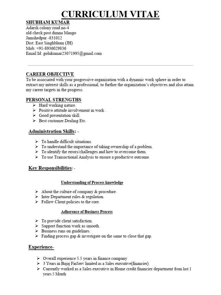 Shubham Kumar's Professional CV | PDF