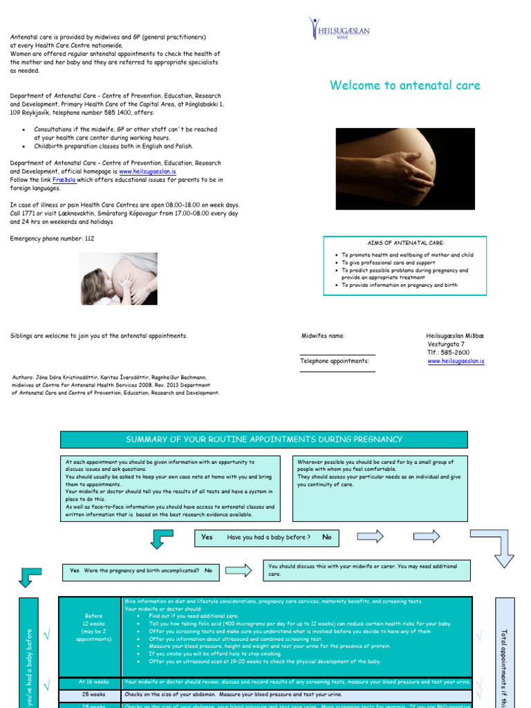 Antenatal Care Services Overview | PDF | Midwife | Midwifery