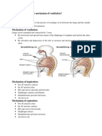 Mechanism and factors affecting ventilation and gas exchange