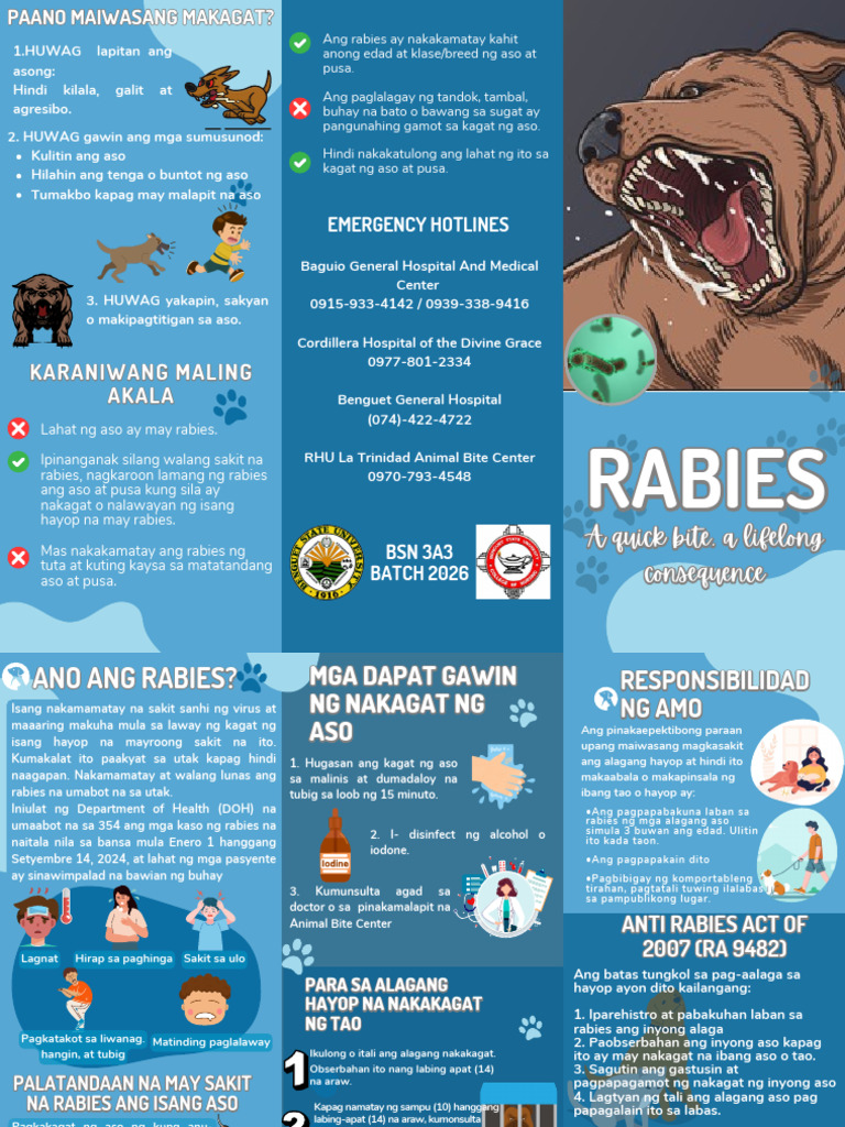 RABIES | PDF