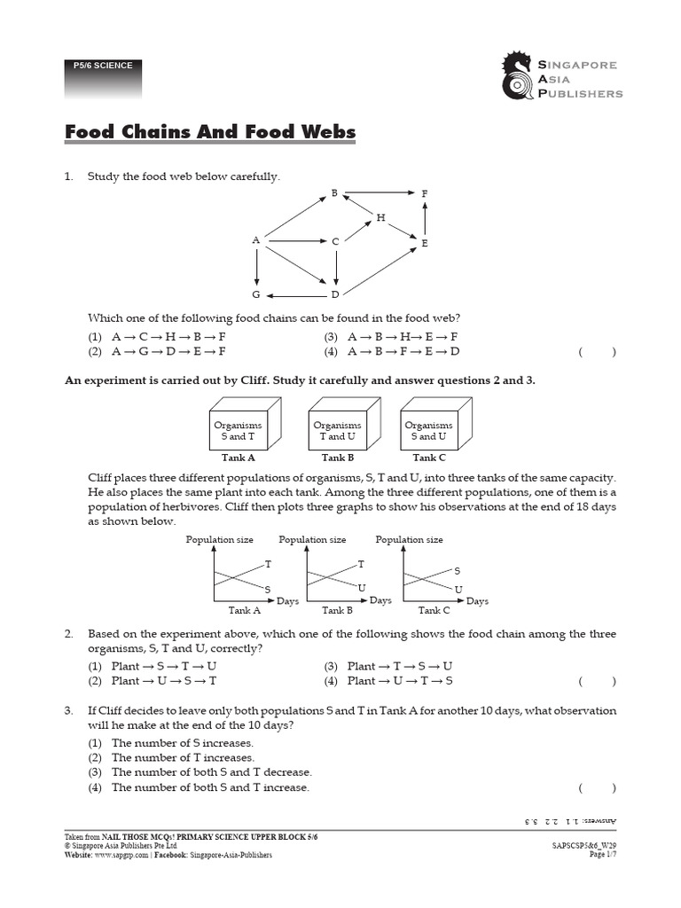 Food Chains and Webs for Primary Science | PDF | Predation | Food Web