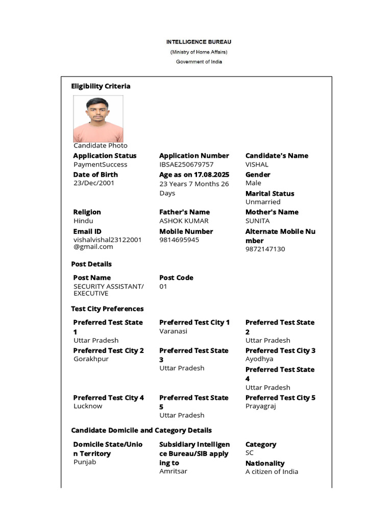 IB Security Assistant Application Form | PDF