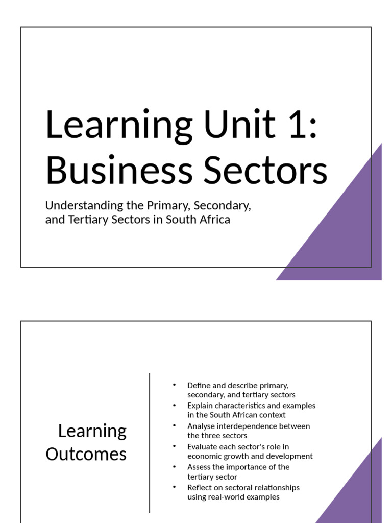 Learning Unit 1 Business Sectors | PDF | Tertiary Sector Of The Economy ...