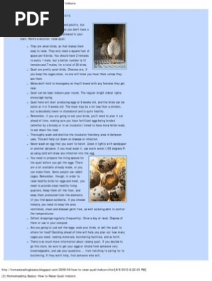 How To Raise Quail Indoors