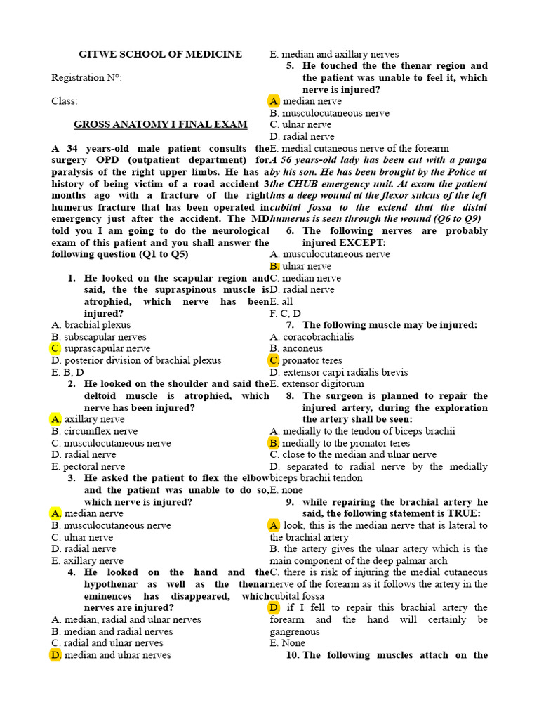Gross Anatomy I Final Exam Questions | PDF | Human Leg | Vertebra