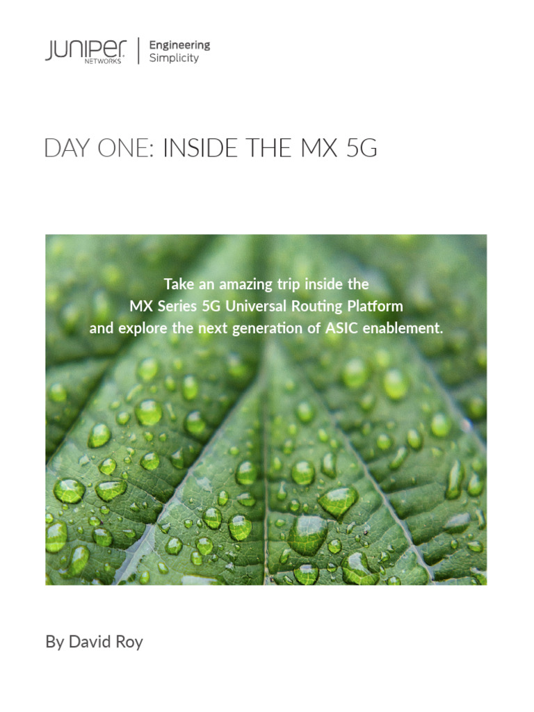 MX 5G Packet Processing Walkthrough | PDF | Telecommunications ...