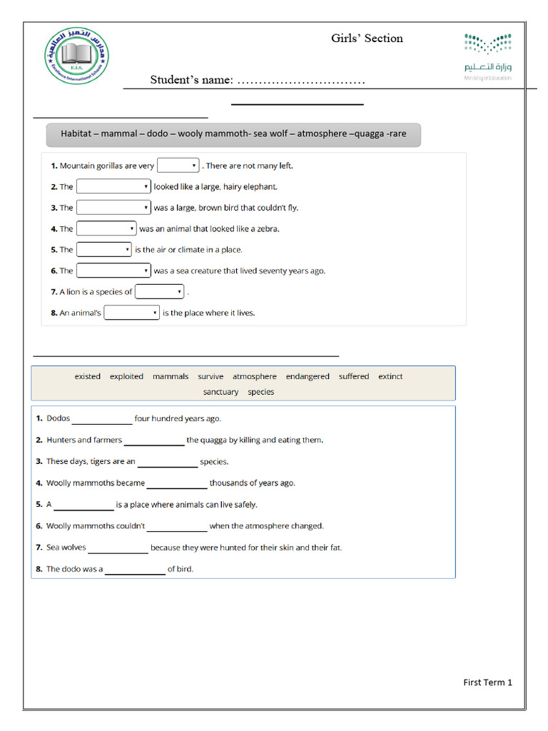 Grade 5 English Revision Worksheet | PDF
