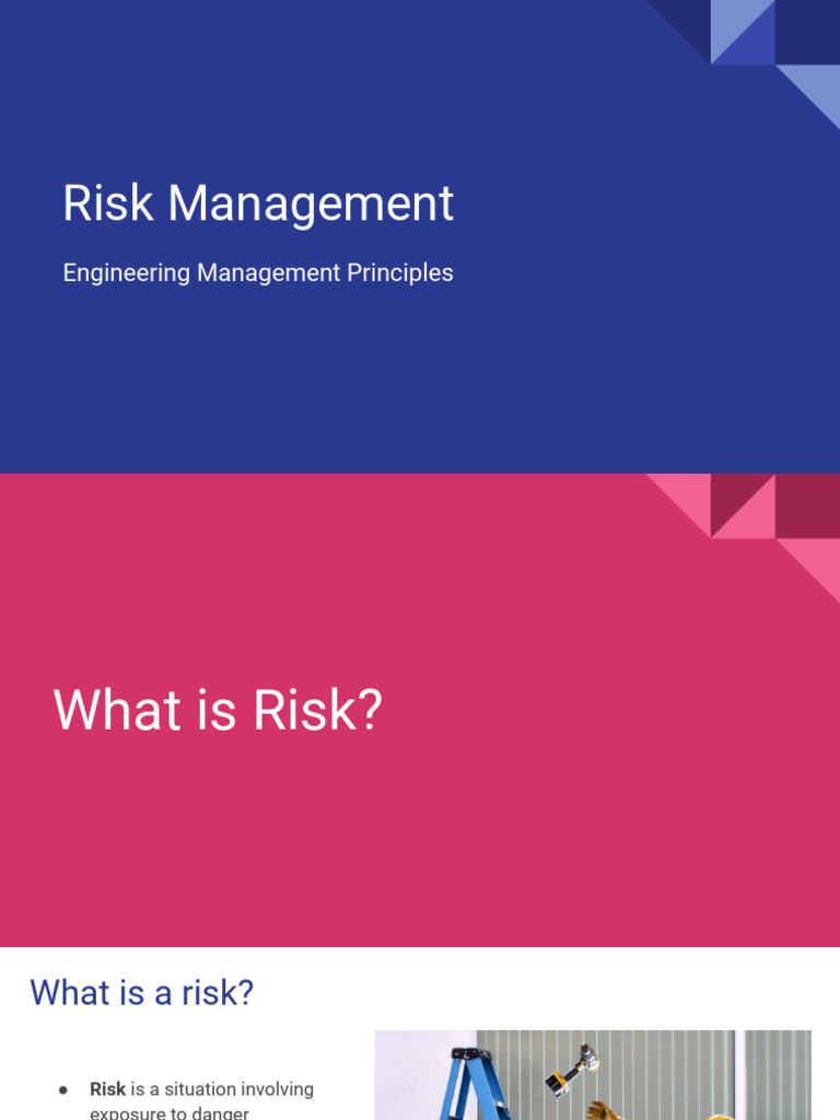 Understanding Project Risk Management | PDF