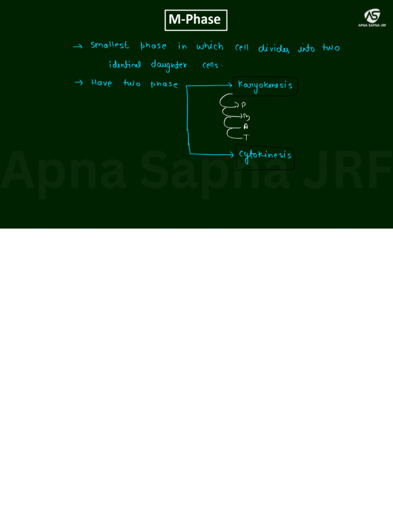 Regulation 5 | PDF