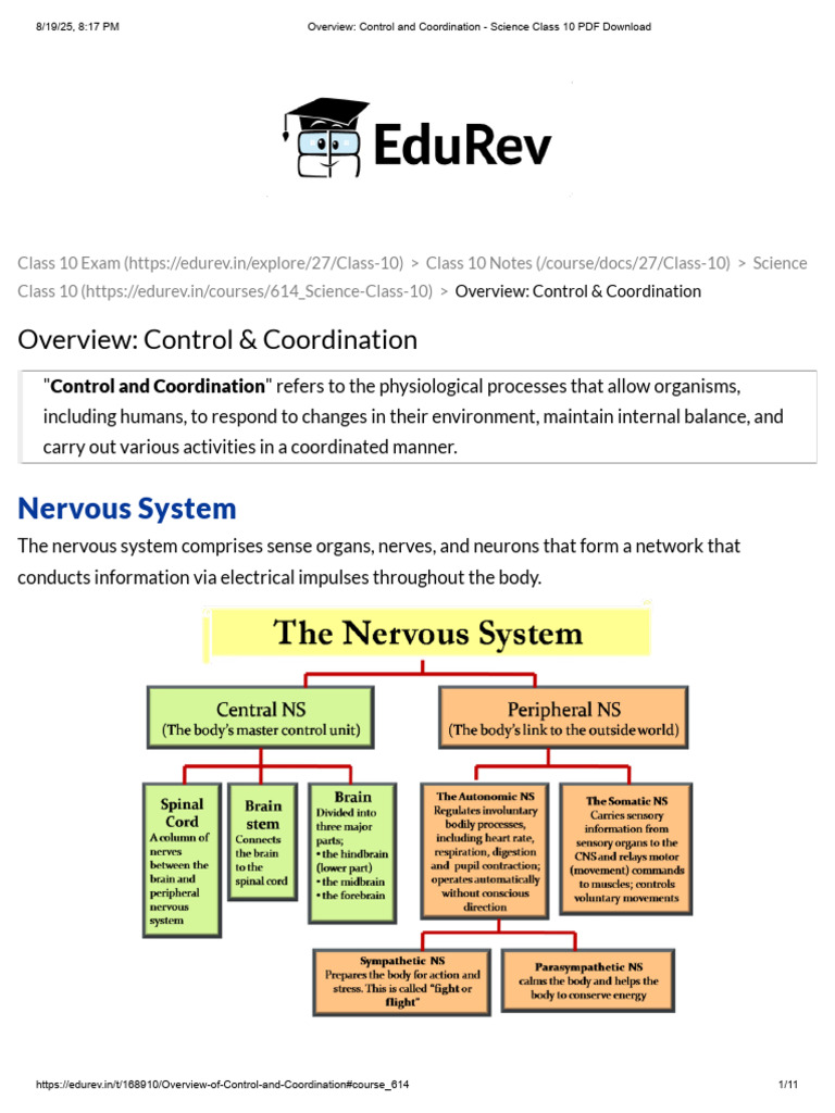 Control and Coordination Class 10 Overview | PDF | Nervous System ...