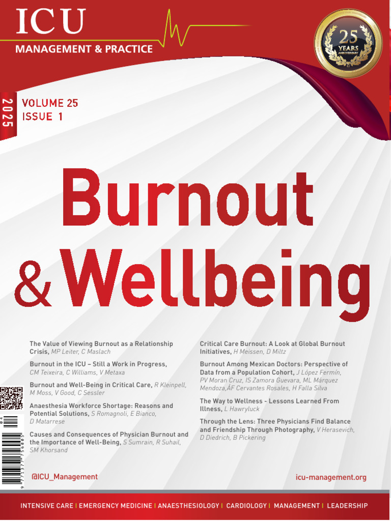 Burnout Among Mexican Doctors: Insights | PDF | Occupational Burnout ...