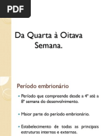 Aula Teórica  5 embriologia