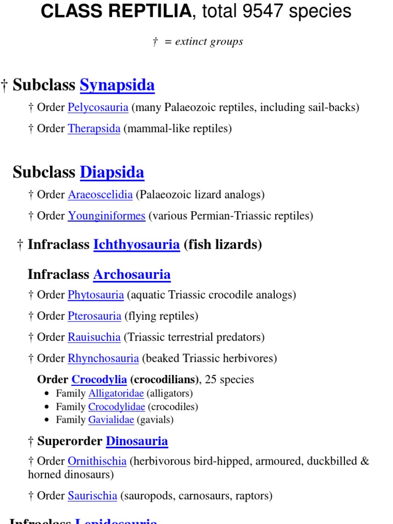 Taxonomic Classification of Reptilia | PDF | Reptile | Amniotes