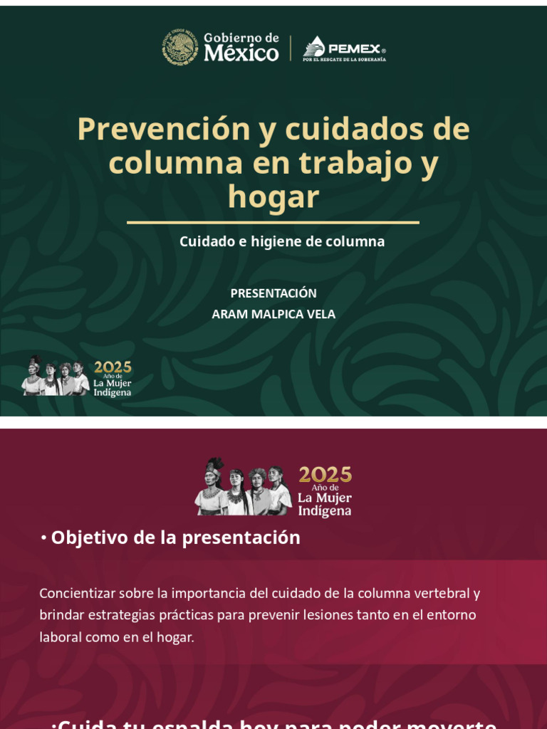 Cuidados de la Columna en Trabajo y Hogar | PDF