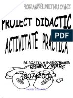 Proiectdidactc Activitpractica