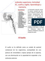 Clase 9 Funciones Cerebra Les Superiores 2012