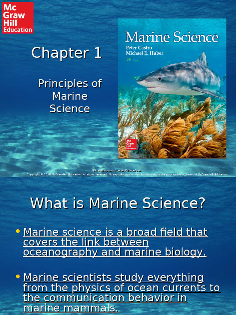 Introduction to Marine Science Principles | PDF | Oceanography | Oceans
