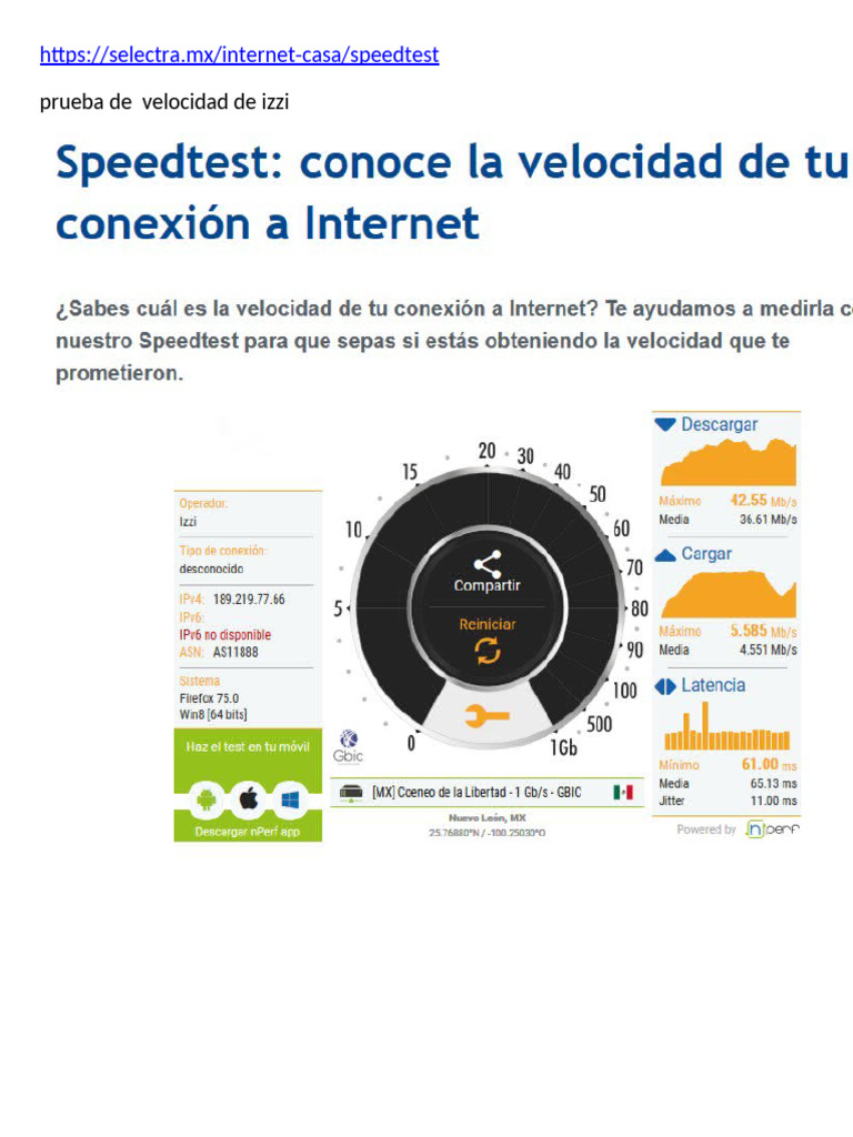 Prueba de Velocidad de Izzi | PDF