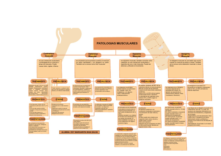 Lesiones Musculares: Tipos y Tratamientos | PDF | Sistema ...