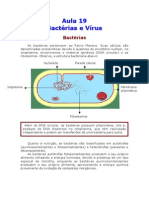 Biologia - Aula 19 - Bactérias e Vírus