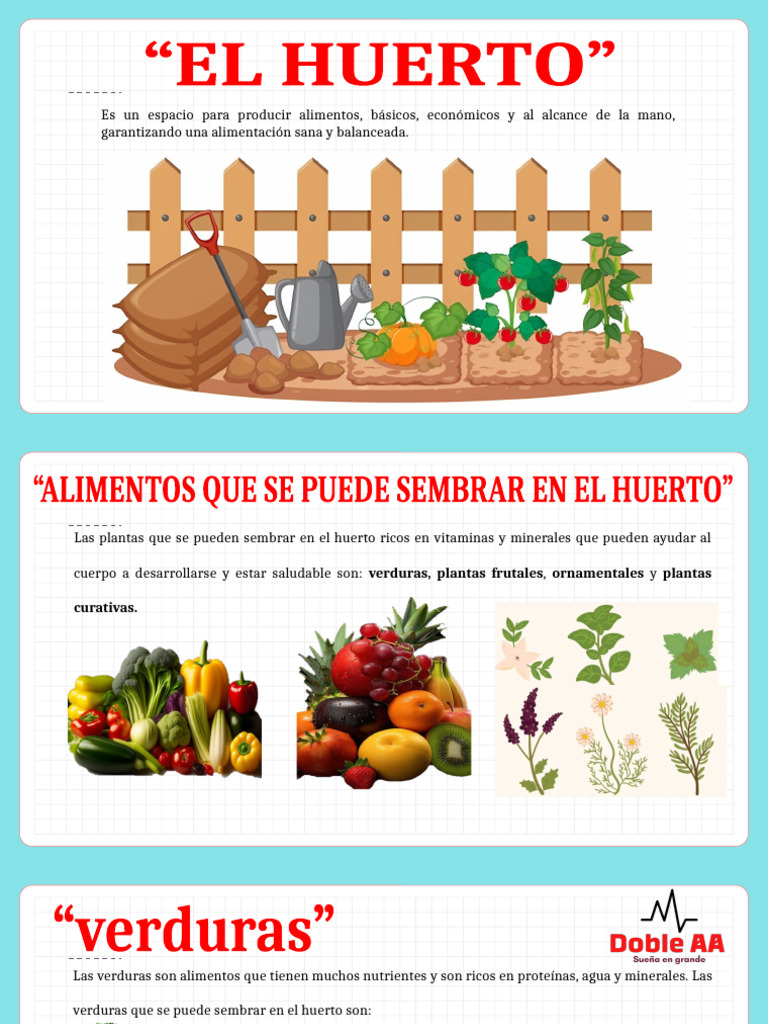 Huerto Escolar: Cultivo de Alimentos Saludables | PDF