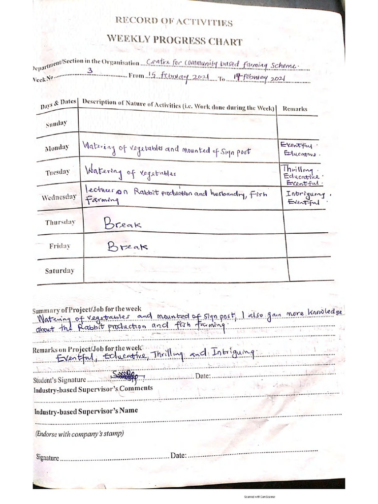 FPY Logbook by Hay-Why-Oh | PDF