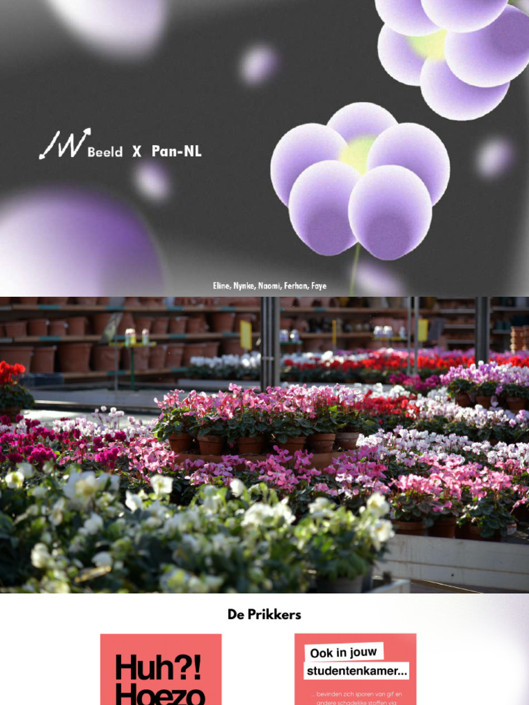 Pitch Inbeeld Compressed Pdf