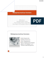 Metapneumovírus Humano PDF