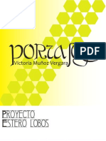 Portafolio 2011 COMPUTACION