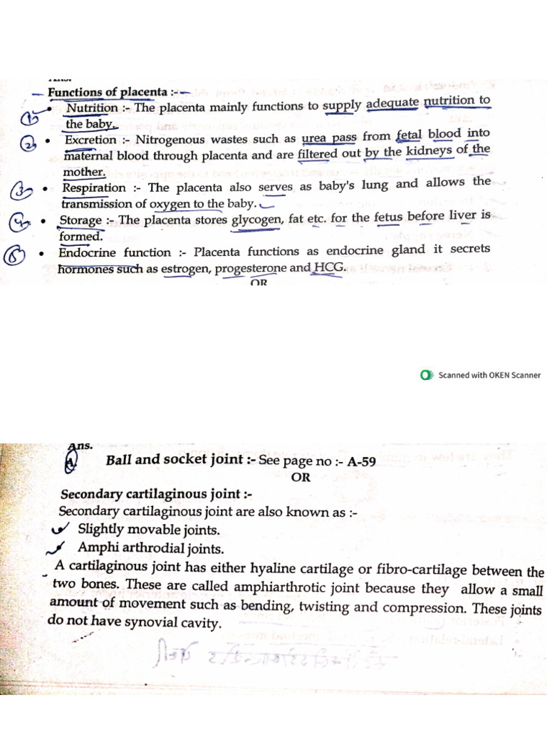 Revision Notes by Ranjeet Sir | PDF