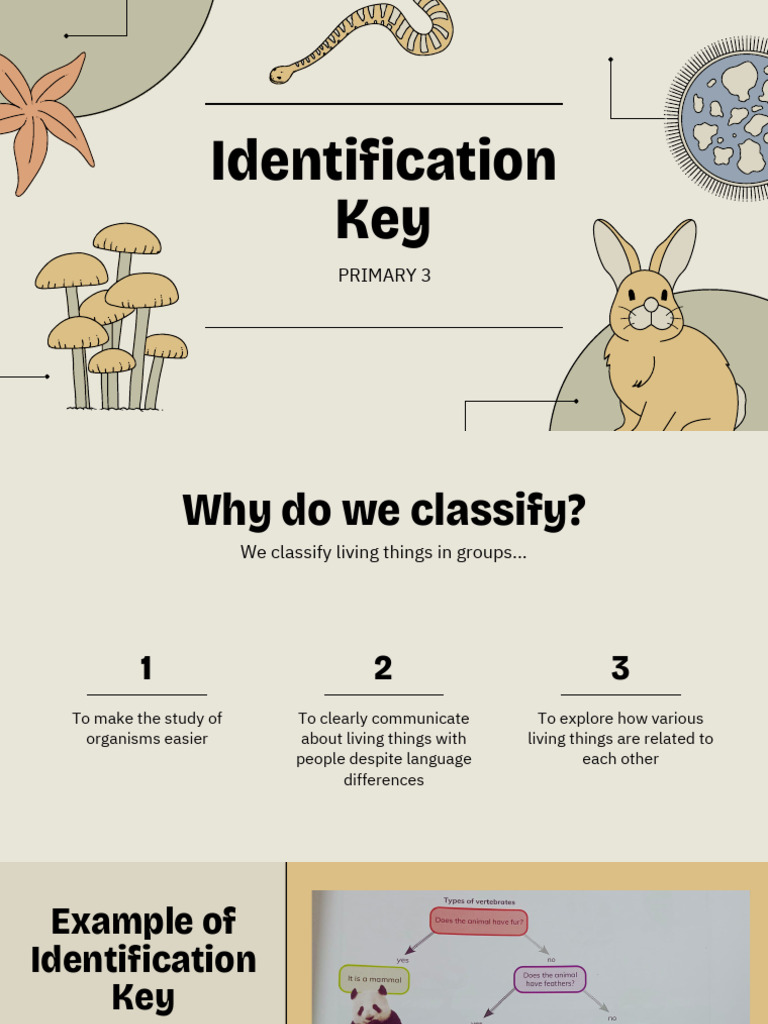 Identification Key | PDF