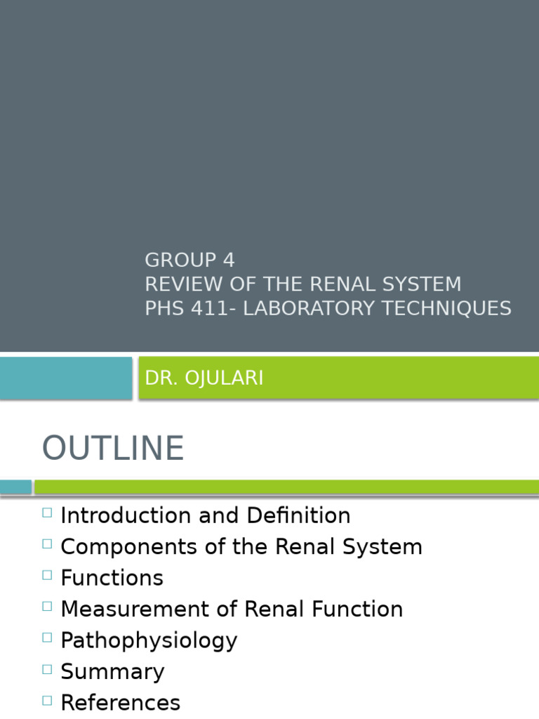 Overview of the Renal System Functions | PDF | Urinary System | Kidney