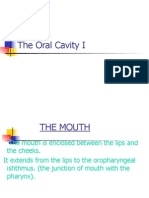 The Oral Cavity I