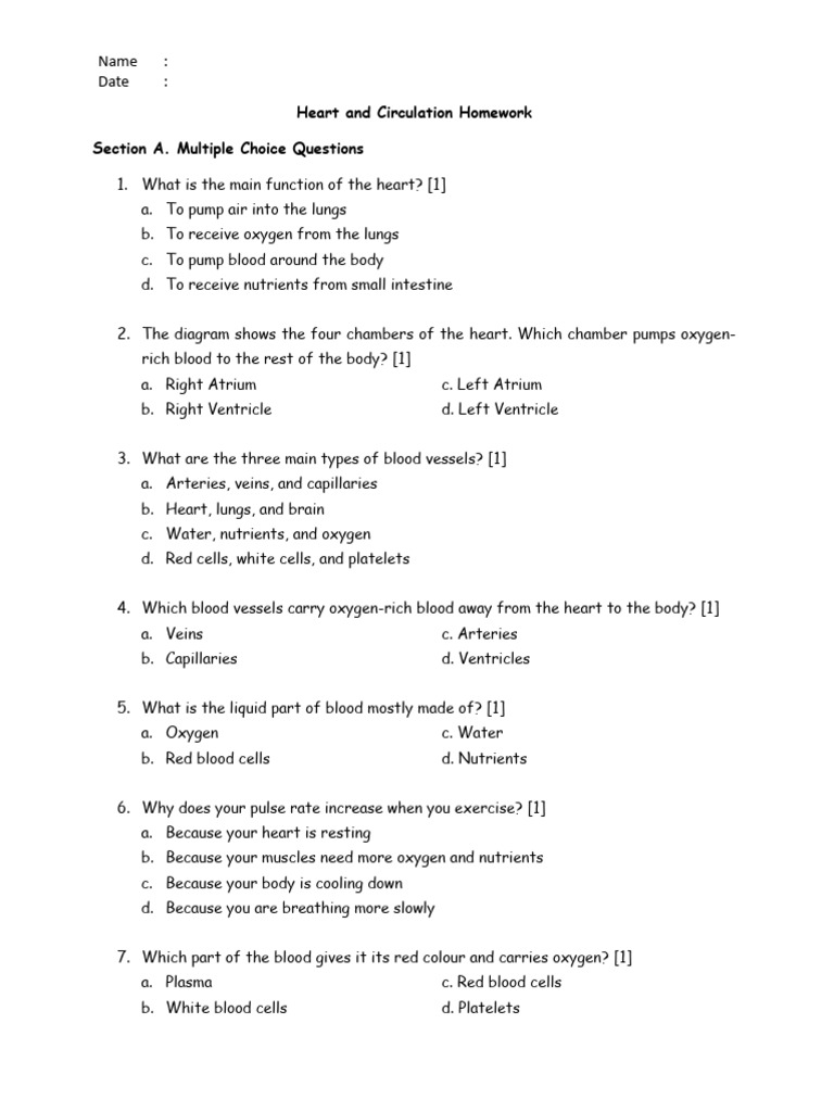 Circulatory System Homework Guide | PDF | Heart | Circulatory System
