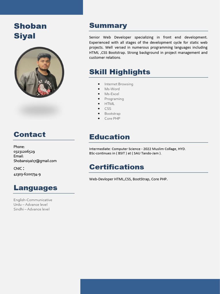 Senior Web Developer Profile Summary | PDF