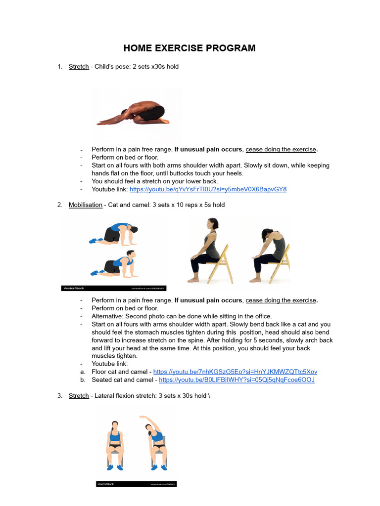 Pain-Free Home Exercise Program | PDF | Musculoskeletal System