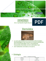 Demódex