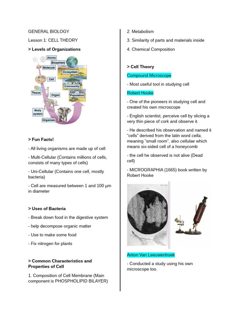 Overview of Cell Theory and Morphology | PDF | Endoplasmic Reticulum ...