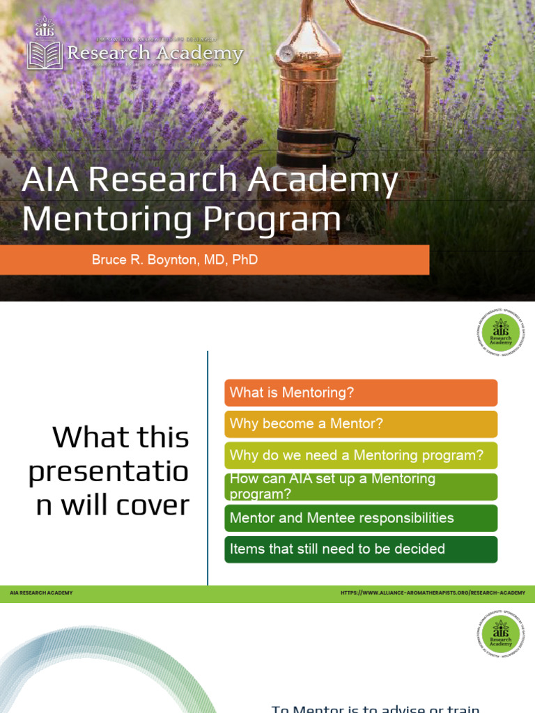 AIA Research Academy Mentoring Program Guide | PDF | Mentorship ...