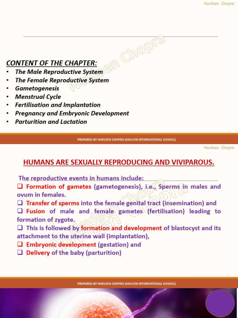Ch-3 (12) Human Reproduction | PDF | Menstrual Cycle | Luteinizing Hormone